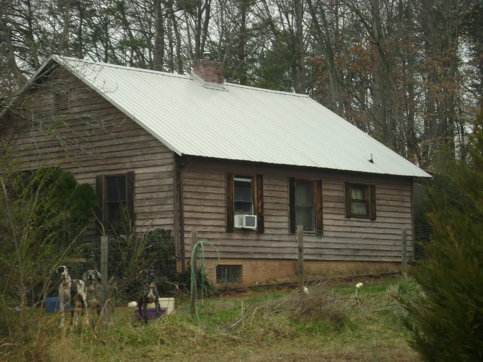 White metal roof on an old wood sided farmhouse, from a Metal Roof Installation job in Black Diamond